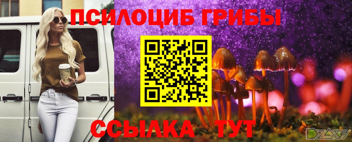 Cocaine  Брянск  Вход с VPN  МЕФ кристаллы  A-PVP СК кристаллы  Марихуана  Как найти закладки?  ГАШ  MDMA 