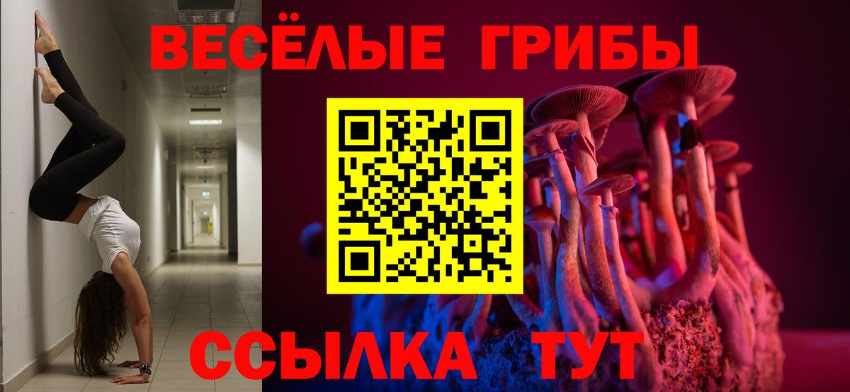 Брянск  Псилоцибиновые грибы мицелий  Вход с VPN 